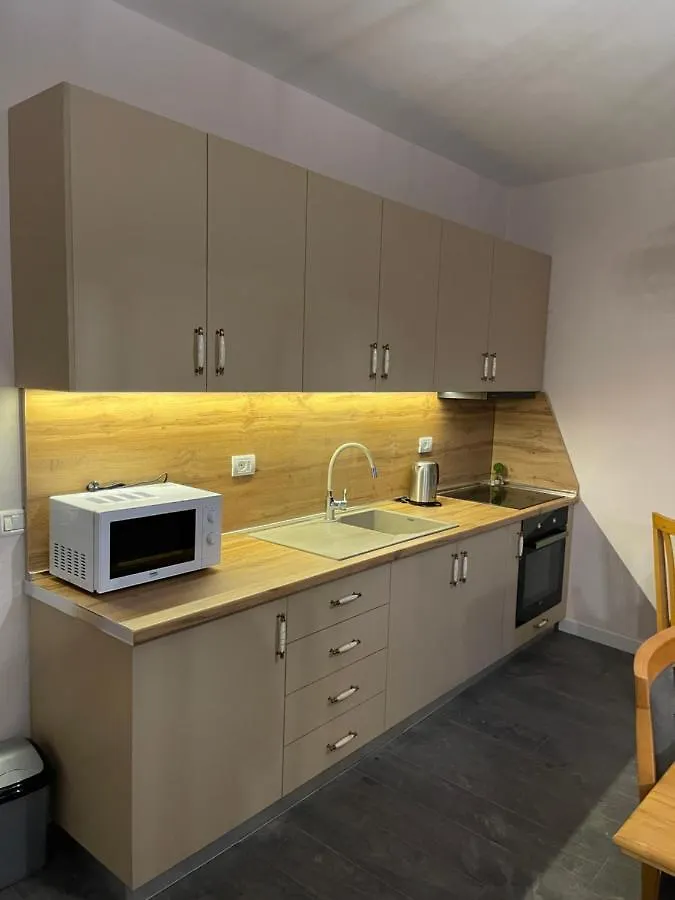 Pedestrian Street Center Apartment Shkoder Albania