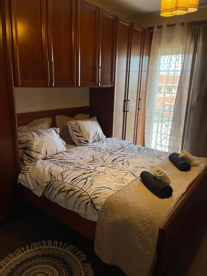Pedestrian Street Center Apartment Shkoder
